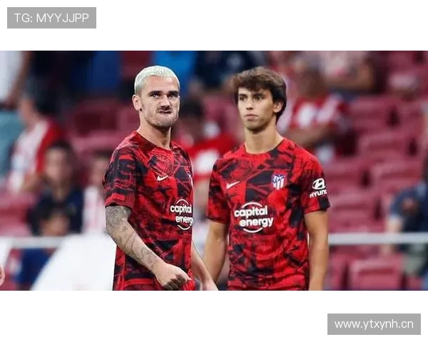 恩昆库与菲利克斯：同代天才攻击手的分化轨迹分析