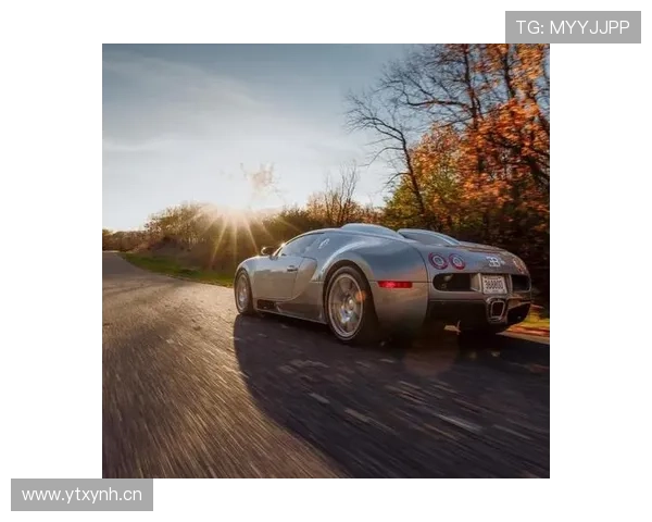 欧文训练完回家路上顺手买了辆布加迪？