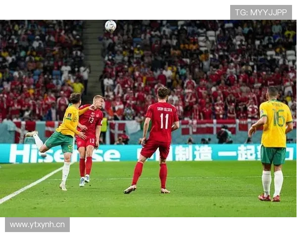 波黑能否突破重围晋级2026世界杯 预选赛出线形势深度分析